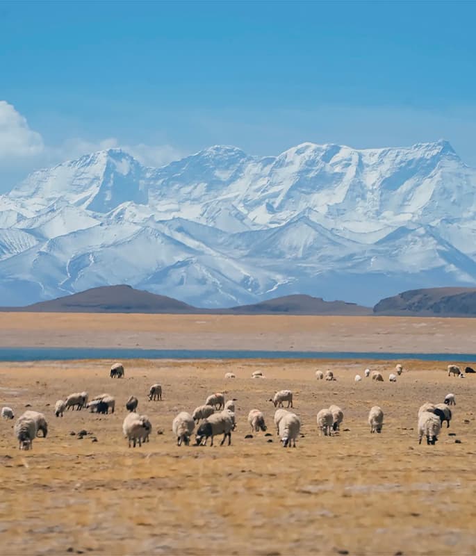 Namtso detail view 7