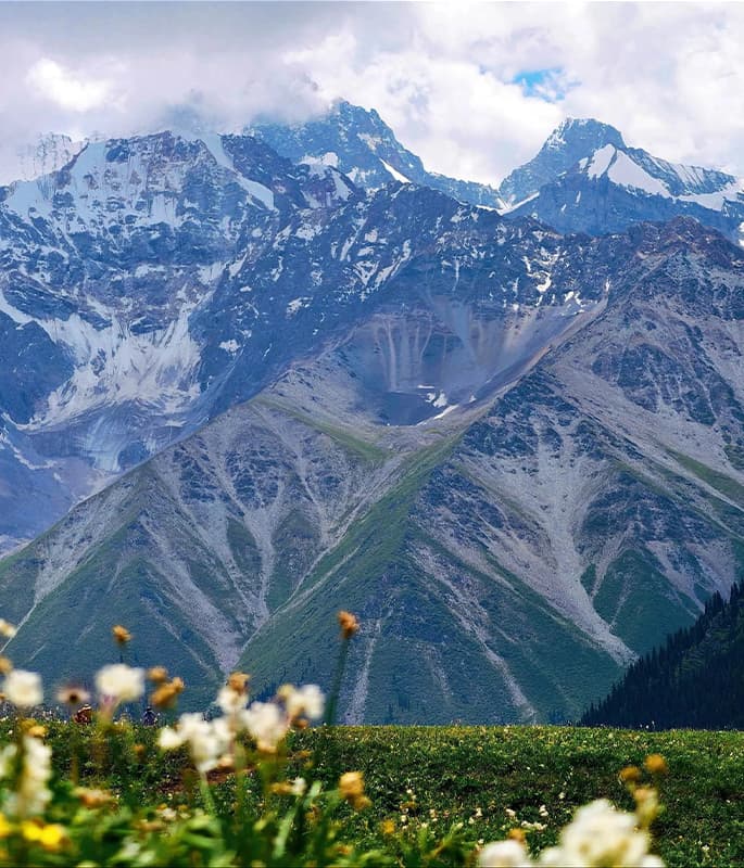 Glacier Valley detail view 5