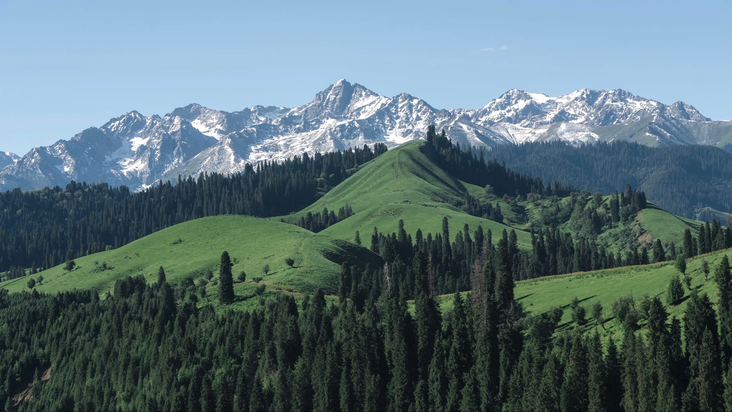 Glacier Valley private journey landscape