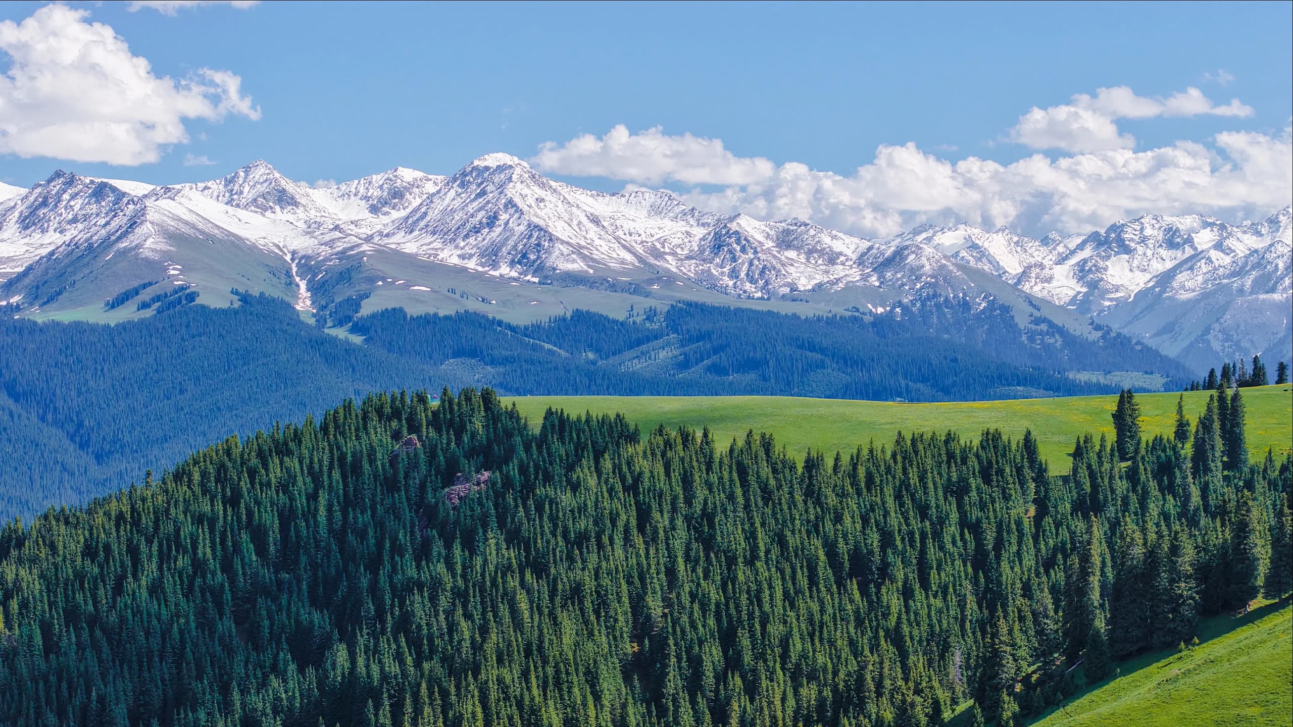 Kalajun Grassland private journey landscape