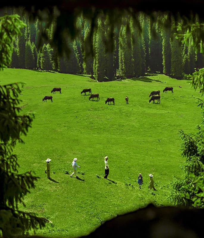 Nalati Grassland detail view 3