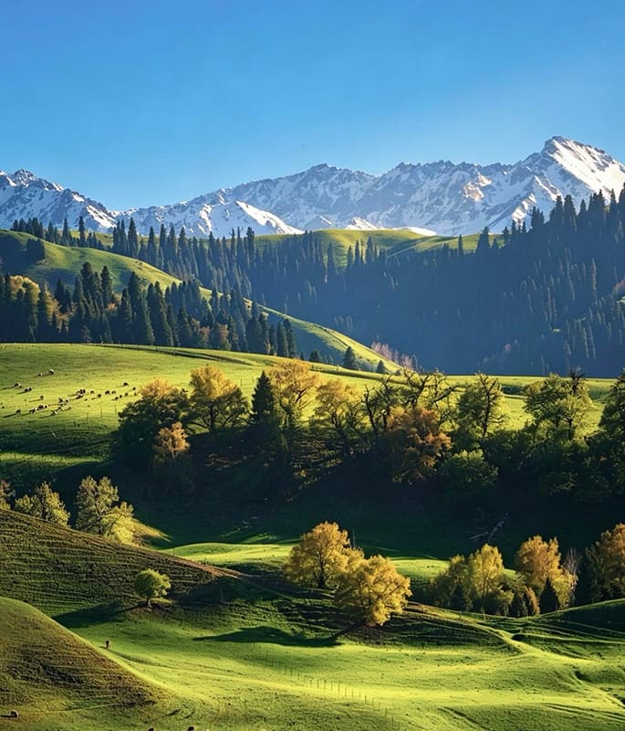Nalati Grassland detail view 12