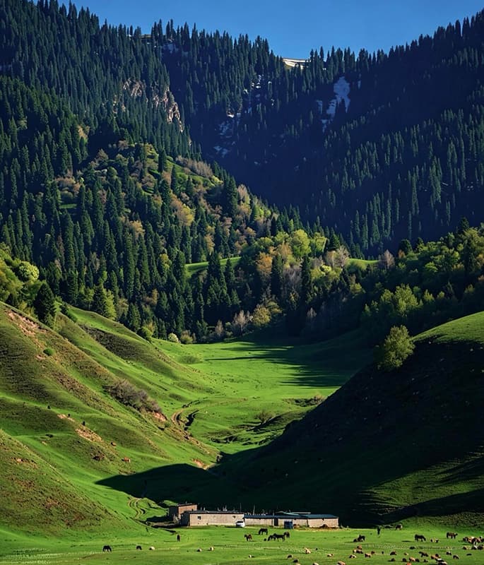 Nalati Grassland detail view 14