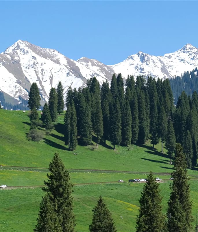 Nalati Grassland detail view 17