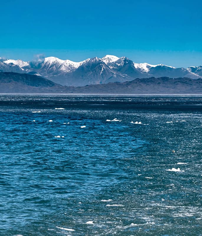 Sayram Lake detail view 3