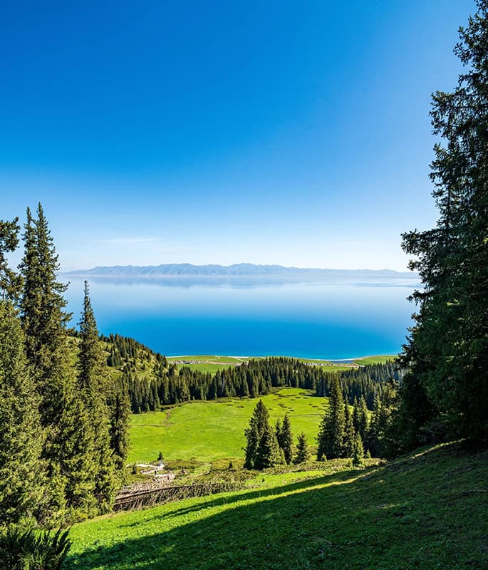 Sayram Lake detail view 7