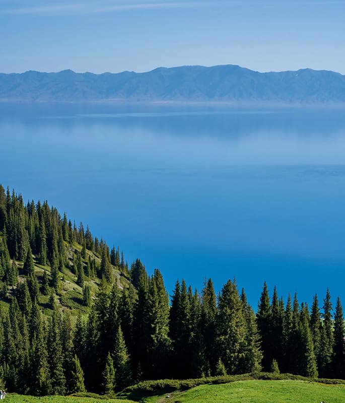 Sayram Lake detail view 11