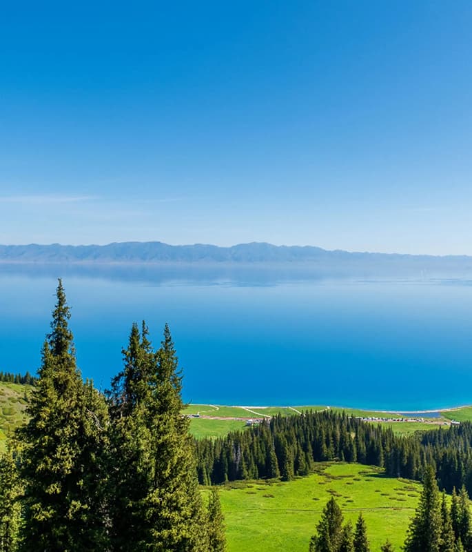 Sayram Lake detail view 12