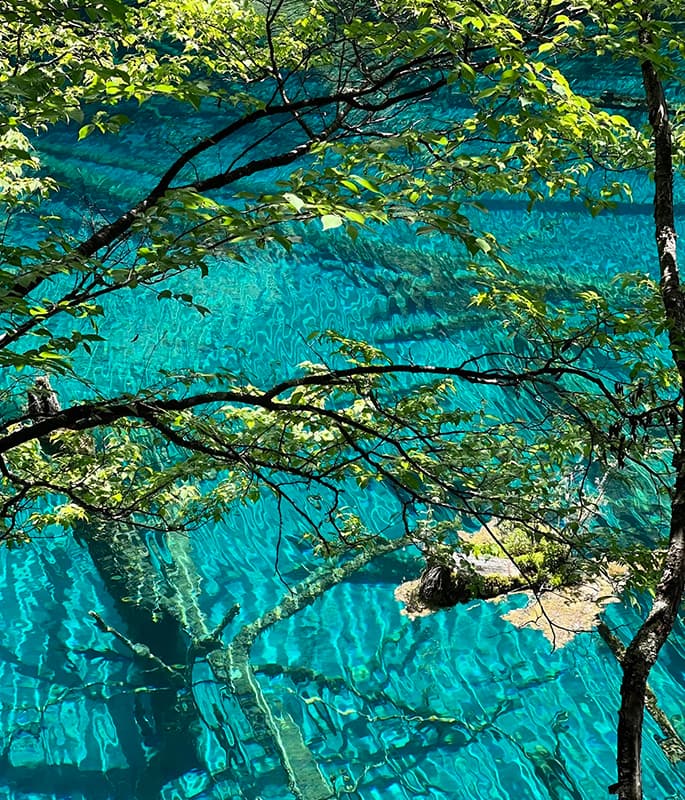 Jiuzhaigou National Park detail view 6