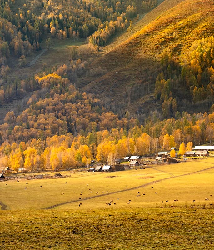 Hemu Valley detail view 6