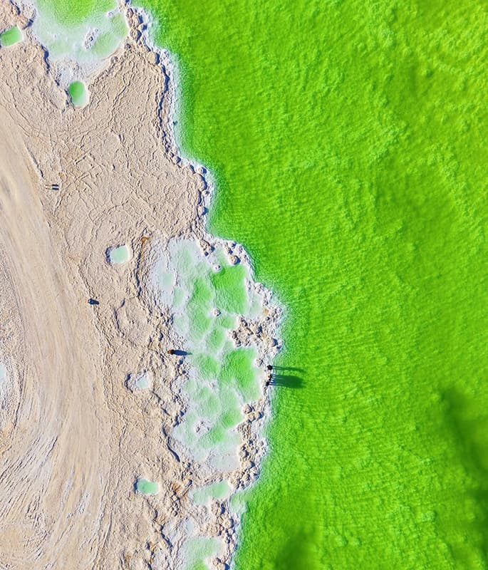 Chaerhan Salt Lake detail view 6