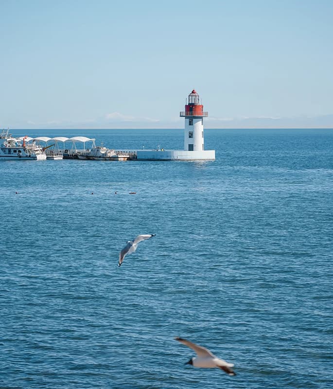 Qinghai Lake detail view 4