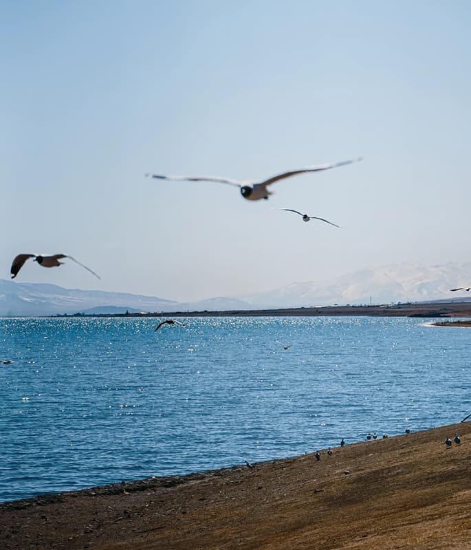 Qinghai Lake detail view 6