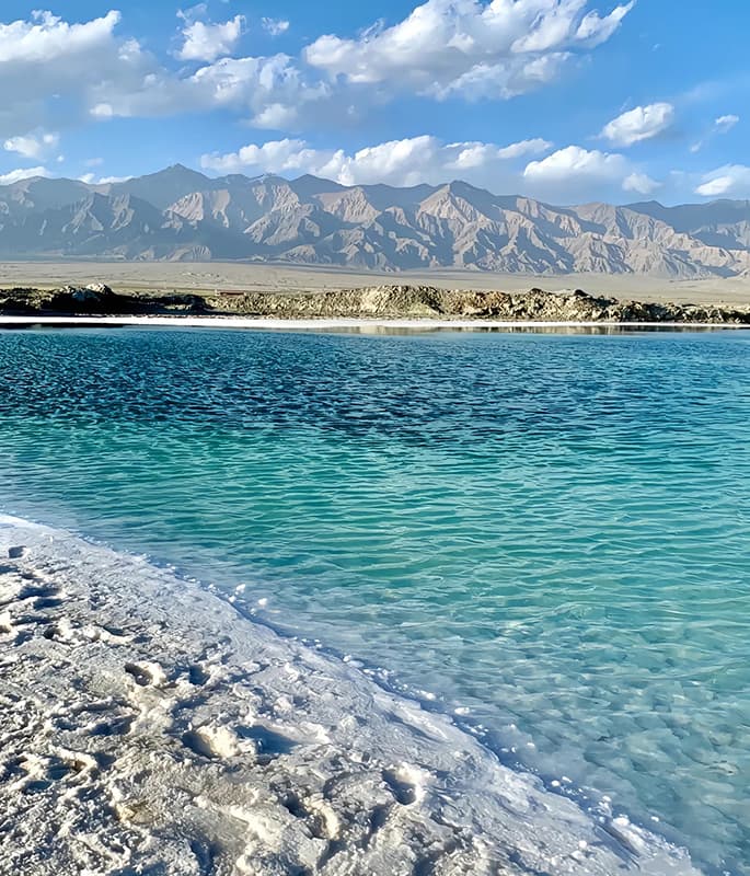 Qinghai Lake detail view 9