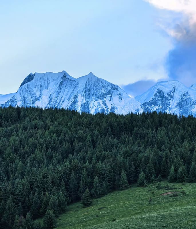 Zesangla Sky Garden detail view 4