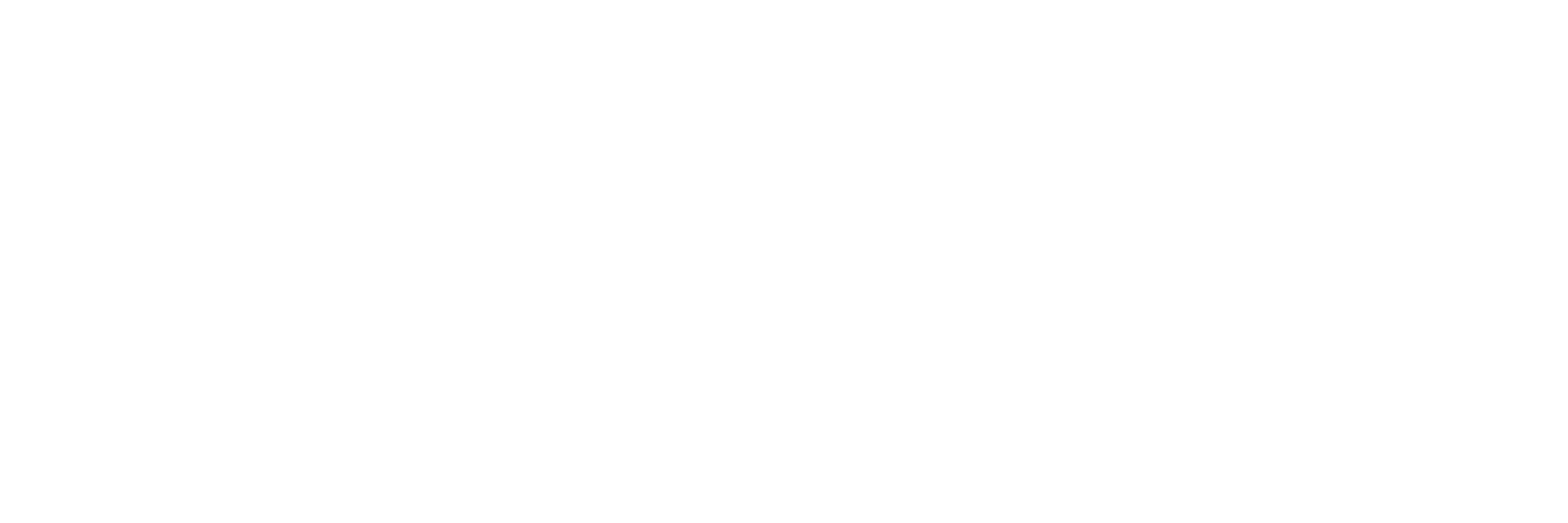 SAVHE logo